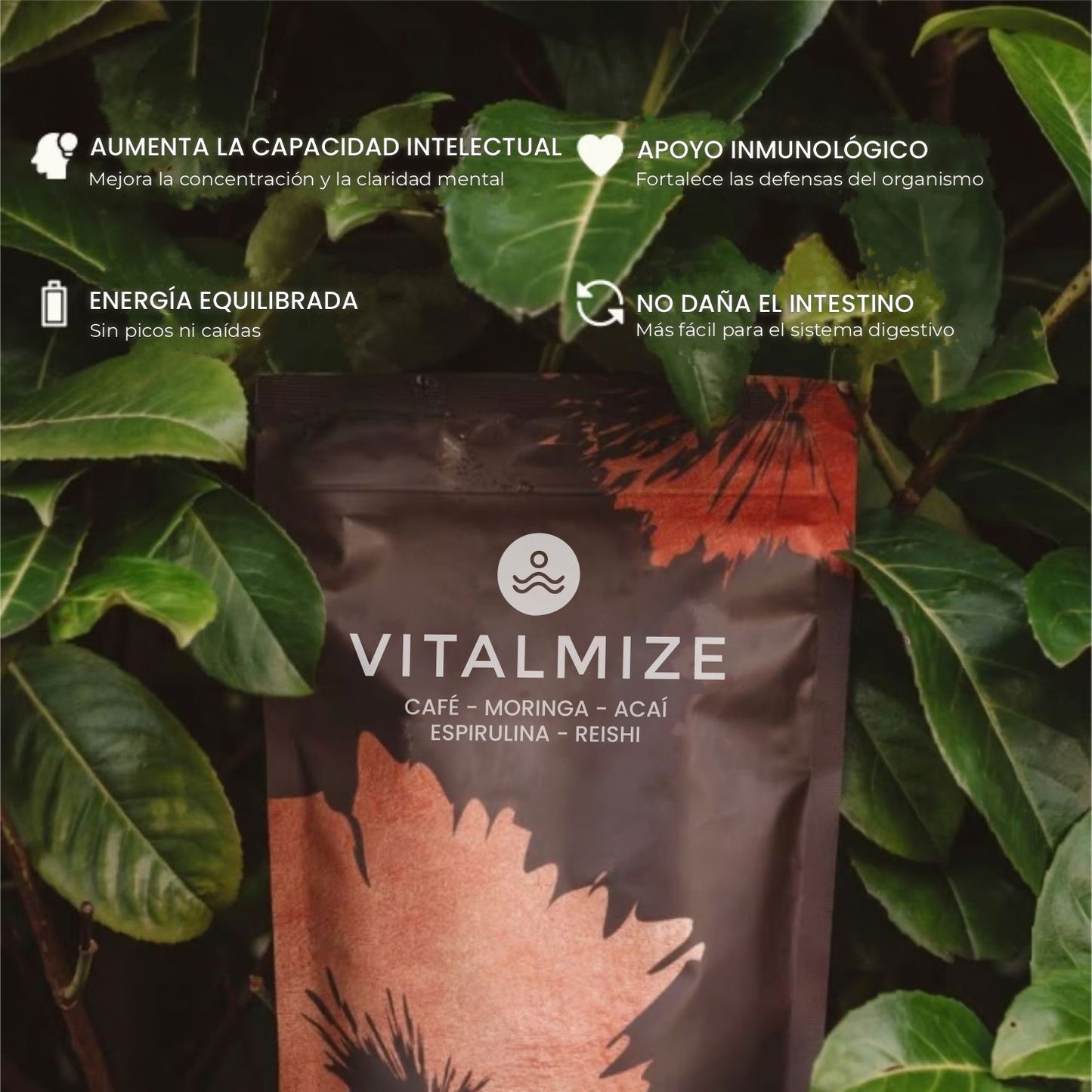 Vitalmize Coffee 30 Porciones